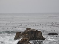 DSC_5385 Along The 17 Mile Drive -- Pebble Beach, CA (3 Sep 11)