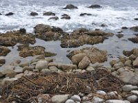 DSC_5387 Along The 17 Mile Drive -- Pebble Beach, CA (3 Sep 11)