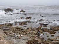 DSC_5389 Along The 17 Mile Drive -- Pebble Beach, CA (3 Sep 11)