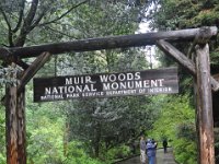 DSC_3808 A visit to Muir Woods National Monument (Mill Valley, CA) -- 29 March 2014