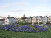 DSC_3985 Views of the Painted Ladies from Alamo Square (San Francisco, CA) -- 30 March 2014