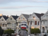 DSC_3991 Sock Monkey and the Painted Ladies from Alamo Square (San Francisco, CA) -- 30 March 2014