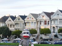 DSC_3992 Sock Monkey and the Painted Ladies from Alamo Square (San Francisco, CA) -- 30 March 2014