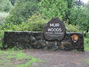 Muir Woods Nat'l Monument Mill Valley, CA (Muir Woods National Monument) (29 Mar 14)