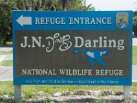 DSC_3248 J.N. Ding Darling National Wildlife Refuge -- Sanibel Island & Captiva Island (8 October 2016)
