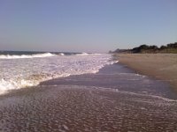 1004001723b The beach in Melbourne, FL