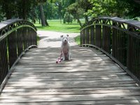 DSC_7949-001 A visit to Lake Nokomis -- 28 June 2015