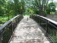 DSC_7952-001 A visit to Lake Nokomis -- 28 June 2015