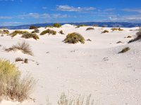 DSC_3619 White Sands National Monument, Alamogordo, NM (20 October 2012)