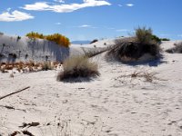 DSC_3621 White Sands National Monument, Alamogordo, NM (20 October 2012)