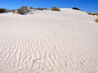 DSC_3631 White Sands National Monument, Alamogordo, NM (20 October 2012)