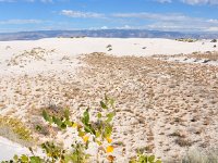 DSC_3637 White Sands National Monument, Alamogordo, NM (20 October 2012)