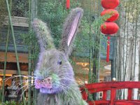 DSC_3100 The Year of the Rabbit -- Bellagio Flower Garden