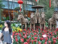 DSC_3109 The Year of the Rabbit -- Bellagio Flower Garden