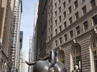 DSC_0266 Wall Street & The Bull