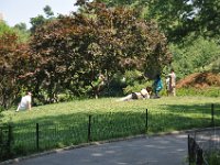 DSC_2001 Central Park, Manhattan, NYC -- 1 July 2012