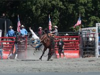 DSC_3115 Rodeo in Tappan, NY (25 September 2016)