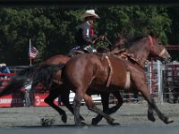 DSC_3120 Rodeo in Tappan, NY (25 September 2016)
