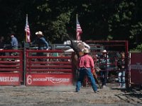 DSC_3126 Rodeo in Tappan, NY (25 September 2016)