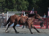 DSC_3131 Rodeo in Tappan, NY (25 September 2016)