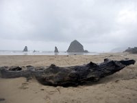 DSC_0001 A visit to Cannon Beach, OR (15 November 2013)