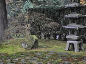 Japanese Garden Washington Park Japanese Garden (16 November 2013)