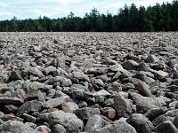 C360_2013-04-13-13-29-15-220 Boulder Field at Hickory Run State Park, The Poconos -- 13 April 2013