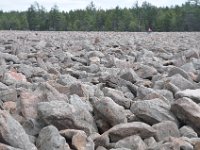 DSC_5800 Boulder Field at Hickory Run State Park, The Poconos -- 13 April 2013