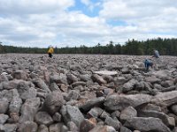 DSC_5801 Boulder Field at Hickory Run State Park, The Poconos -- 13 April 2013