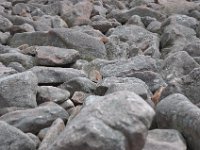 DSC_5836 Boulder Field at Hickory Run State Park, The Poconos -- 13 April 2013