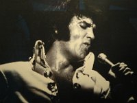 DSC_7751 Elvis Presley's Graceland -- Memphis, TN