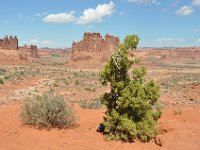 DSC_2649 Landscapes on the Landscape -- Arches National Park, Moab, Utah (1 September 2012)