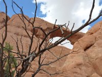 DSC_2789 Skyline Arch -- Arches National Park, Moab, Utah (1 September 2012)