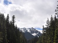 DSC_5101 Mount Rainier National Park