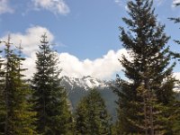 DSC_5105 Mount Rainier National Park