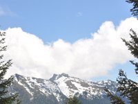 DSC_5107 Mount Rainier National Park