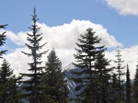 DSC_5109 Mount Rainier National Park