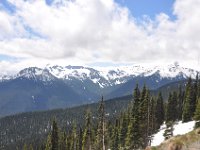 DSC_5112 Mount Rainier National Park