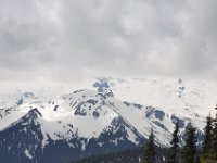 DSC_5115 Mount Rainier National Park
