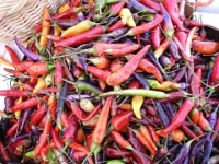 DSCN0833 Peppers at Pike Place Market (27 Sep 09)