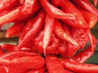 DSCN0835 Peppers at Pike Place Market (27 Sep 09)