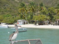 DSC_9163 Great Harbour, Jost Van Dyke (British Virgin Islands) -- 26 Feb 2012